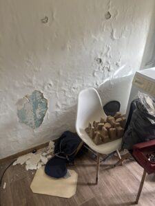 Désinfection professionnelle de la moisissure dans un logement en région PACA – Cleaner Service France