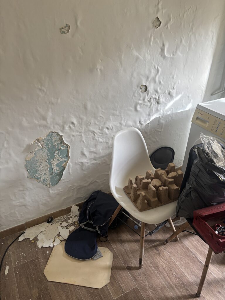 Désinfection professionnelle de la moisissure dans un logement en région PACA – Cleaner Service France